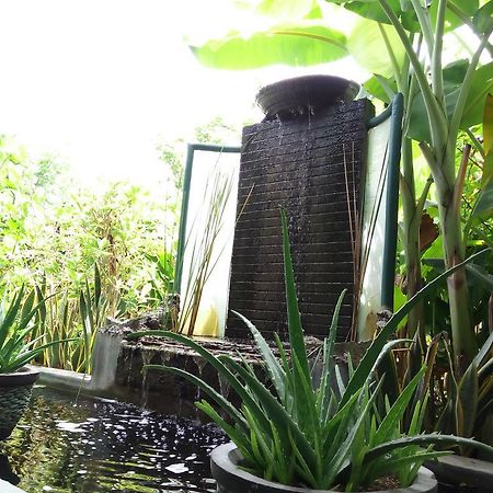 Jassri Homestay Pemuteran Extérieur photo