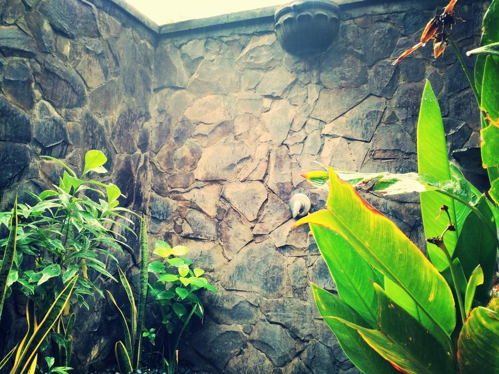 Jassri Homestay Pemuteran Extérieur photo