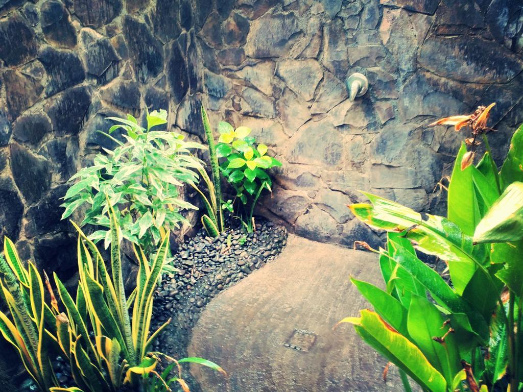 Jassri Homestay Pemuteran Extérieur photo