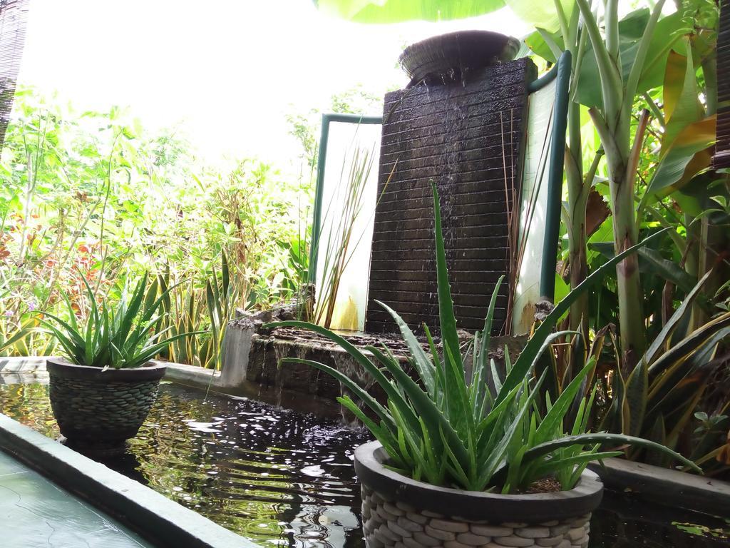 Jassri Homestay Pemuteran Extérieur photo