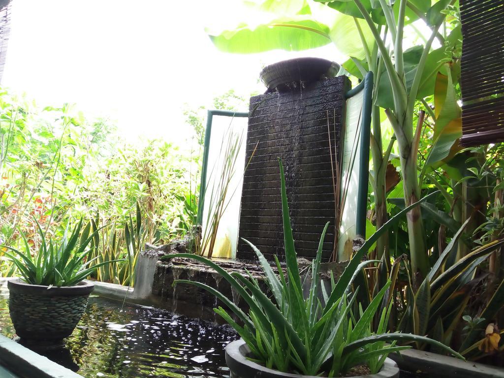 Jassri Homestay Pemuteran Extérieur photo